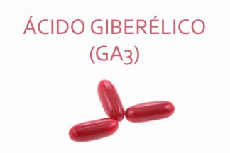acido giberélico